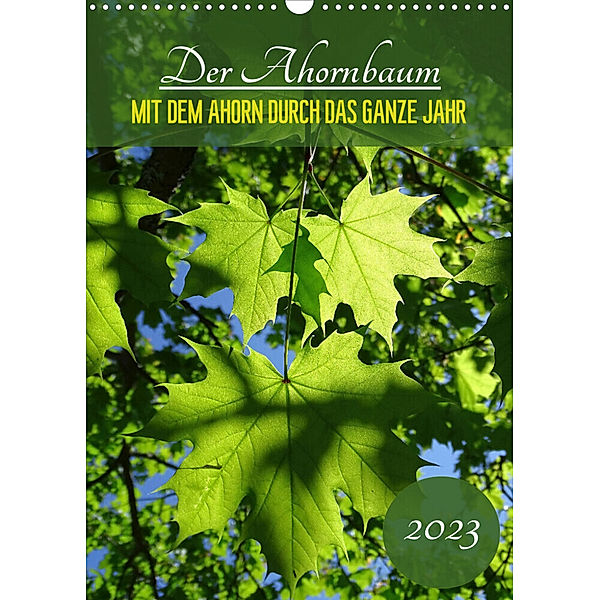 Der Ahornbaum - Mit dem Ahorn durch das ganze Jahr. (Wandkalender 2023 DIN A3 hoch), Capitana Art/D. K. Benkwitz