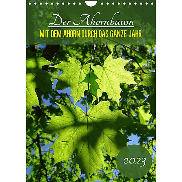 Der Ahornbaum - Mit dem Ahorn durch das ganze Jahr. (Wandkalender 2023 DIN A4 hoch), Capitana Art/D. K. Benkwitz