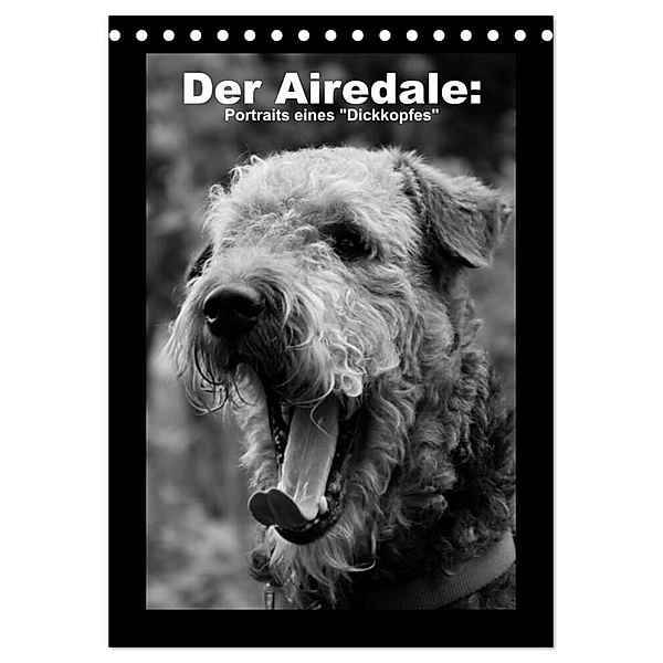 Der Airedale: Portraits eines Dickkopfes (Tischkalender 2024 DIN A5 hoch), CALVENDO Monatskalender, Gaby Rottmann