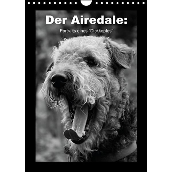 Der Airedale: Portraits eines Dickkopfes (Wandkalender 2016 DIN A4 hoch), Gaby Rottmann