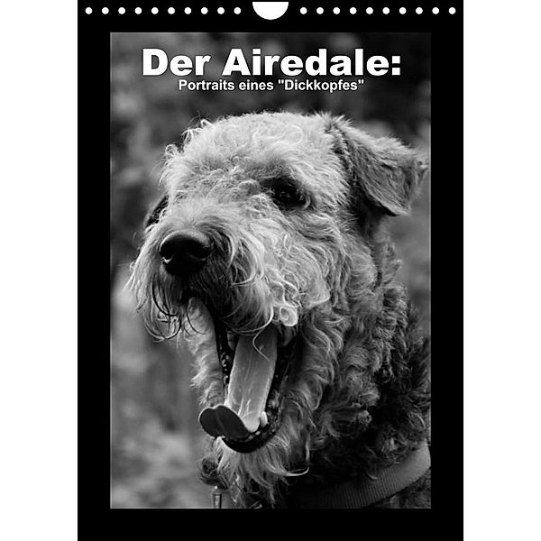 Der Airedale: Portraits eines Dickkopfes (Wandkalender 2023 DIN A4 hoch), Gaby Rottmann