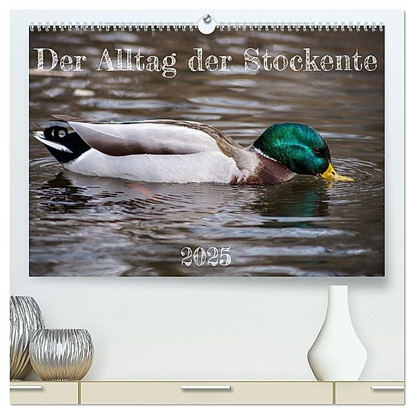 Der Alltag der Stockente (hochwertiger Premium Wandkalender 2025 DIN A2 quer), Kunstdruck in Hochglanz, Calvendo, Verena Mahrhofer