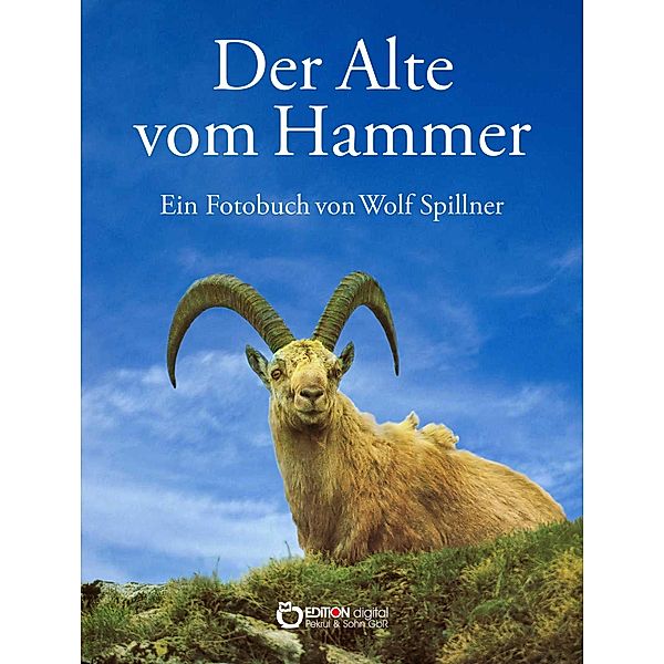 Der Alte vom Hammer, Wolf Spillner