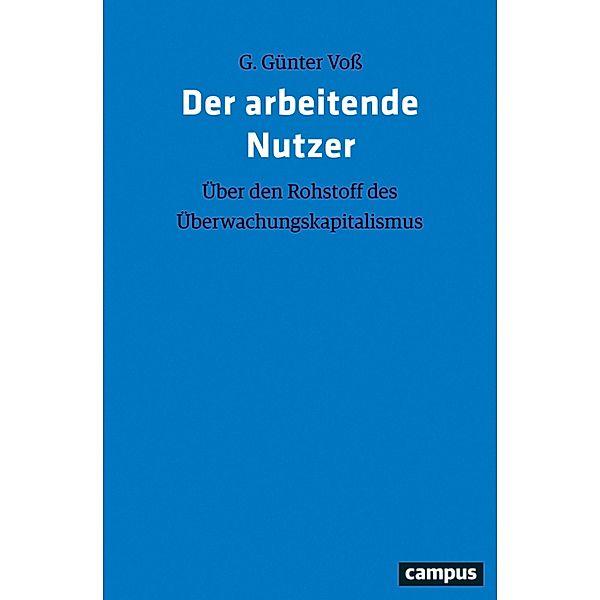 Der arbeitende Nutzer, G. Günter Voß