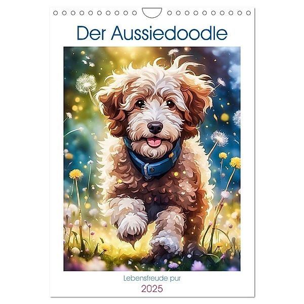 Der Aussiedoodle - Lebensfreude pur (Wandkalender 2025 DIN A4 hoch), CALVENDO Monatskalender, Calvendo, Angelika Beuck