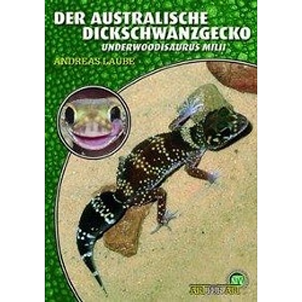 Der Australische Dickschwanzgecko, Andreas Laube