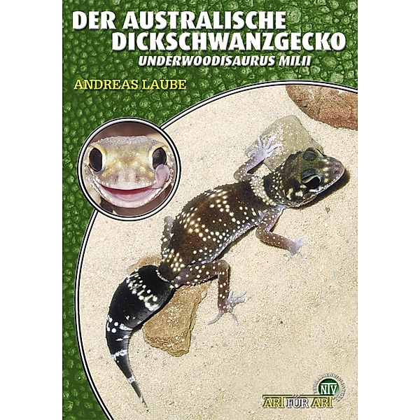 Der Australische Dickschwanzgecko / Art für Art, Andreas Laube