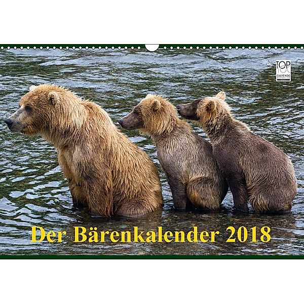 Der Bärenkalender 2018 (Wandkalender 2018 DIN A3 quer), Max Steinwald