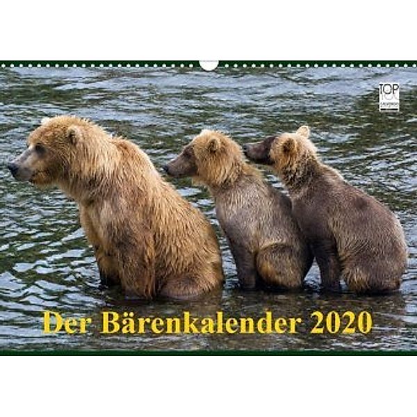 Der Bärenkalender 2020 (Wandkalender 2020 DIN A3 quer), Max Steinwald