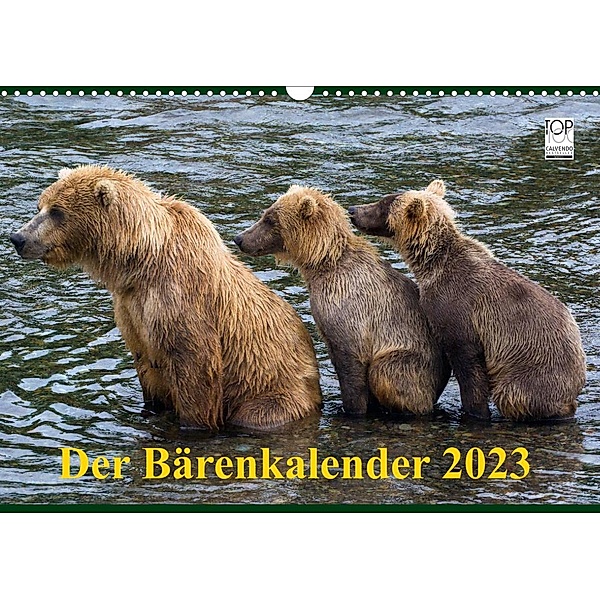 Der Bärenkalender 2023 (Wandkalender 2023 DIN A3 quer), Max Steinwald