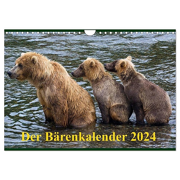 Der Bärenkalender 2024 CH-Version (Wandkalender 2024 DIN A4 quer), CALVENDO Monatskalender, Max Steinwald