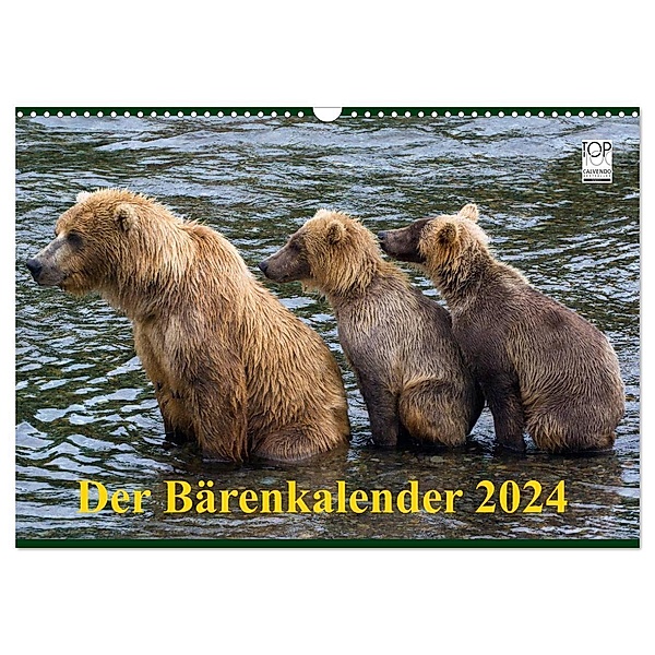 Der Bärenkalender 2024 (Wandkalender 2024 DIN A3 quer), CALVENDO Monatskalender, Max Steinwald
