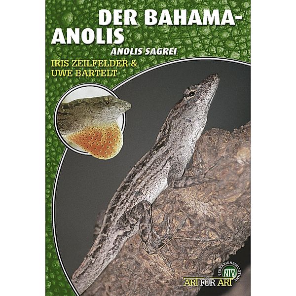 Der Bahama-Anolis / Art für Art, Iris Zeilfelder, Uwe Bartelt