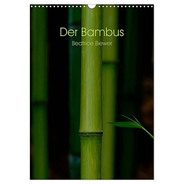 Der Bambus (Wandkalender 2024 DIN A3 hoch), CALVENDO Monatskalender, Beatrice Biewer