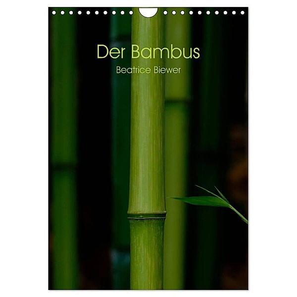 Der Bambus (Wandkalender 2024 DIN A4 hoch), CALVENDO Monatskalender, Beatrice Biewer
