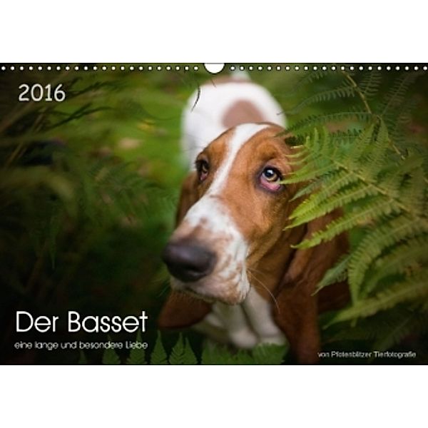 Der Basset, eine lange und besondere Liebe (Wandkalender 2016 DIN A3 quer), Pfotenblitzer Tierfotografie