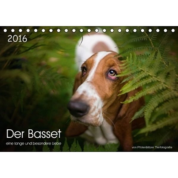 Der Basset, eine lange und besondere Liebe (Tischkalender 2016 DIN A5 quer), Pfotenblitzer Tierfotografie