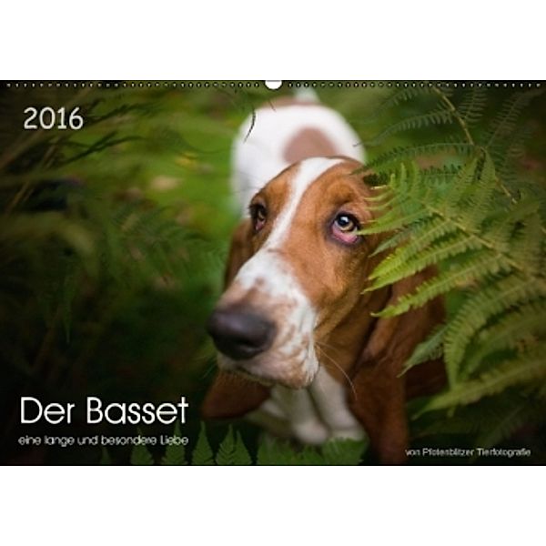 Der Basset, eine lange und besondere Liebe (Wandkalender 2016 DIN A2 quer), Pfotenblitzer Tierfotografie