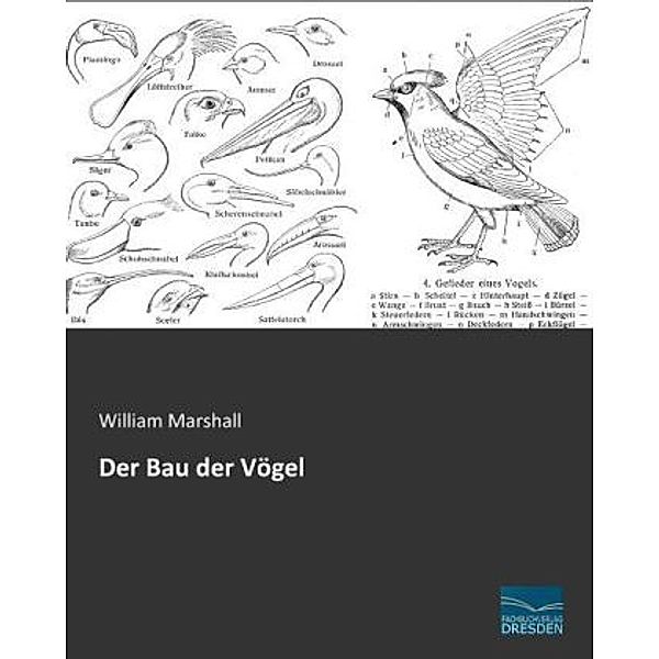 Der Bau der Vögel, William Marshall