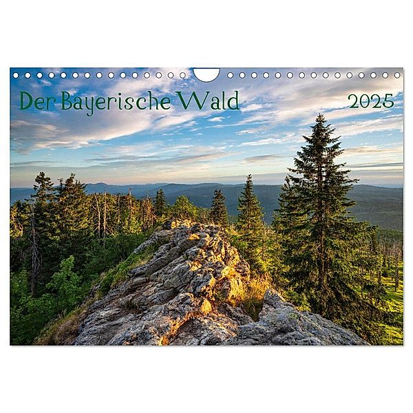 Der Bayerische Wald (Wandkalender 2025 DIN A4 quer), CALVENDO Monatskalender, Calvendo, Prime Selection