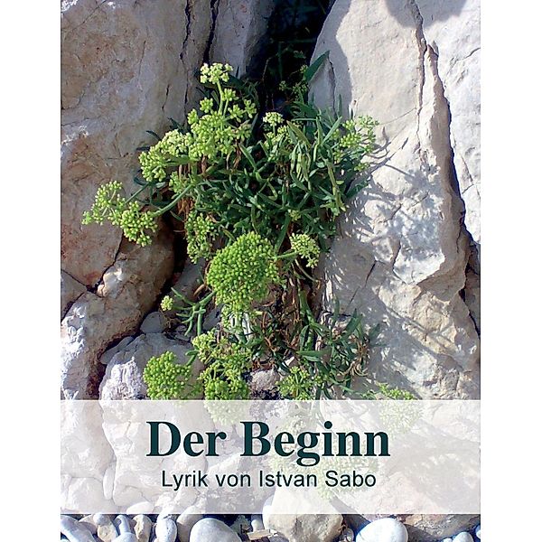 Der Beginn, Istvan Sabo