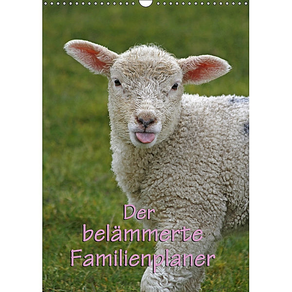 Der belämmerte Familienplaner (Wandkalender 2019 DIN A3 hoch), Antje Lindert-Rottke