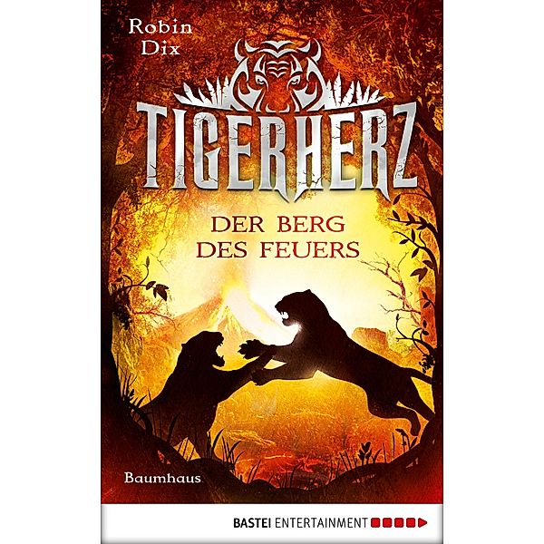 Der Berg des Feuers / Tigerherz Bd.3, Robin Dix