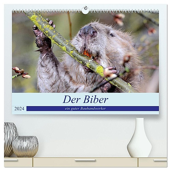 Der Biber, ein guter Bauhandwerker (hochwertiger Premium Wandkalender 2024 DIN A2 quer), Kunstdruck in Hochglanz, Rufotos