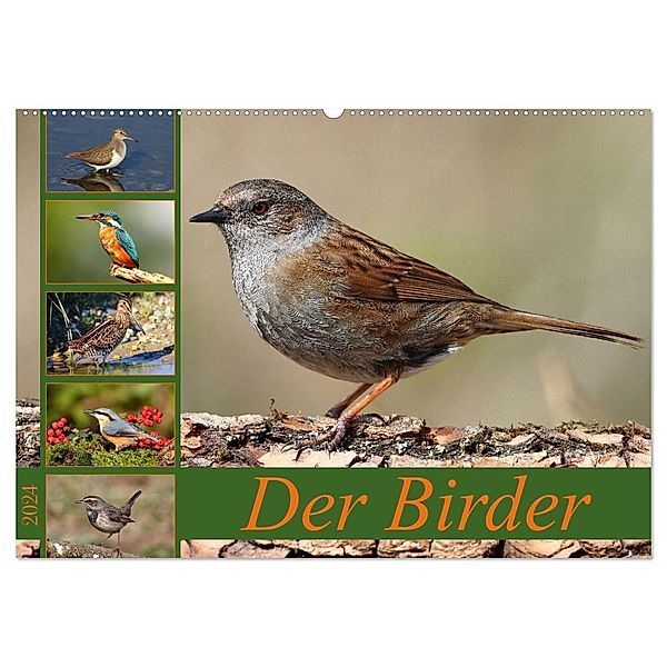 Der Birder (Wandkalender 2024 DIN A2 quer), CALVENDO Monatskalender, Leo Bucher