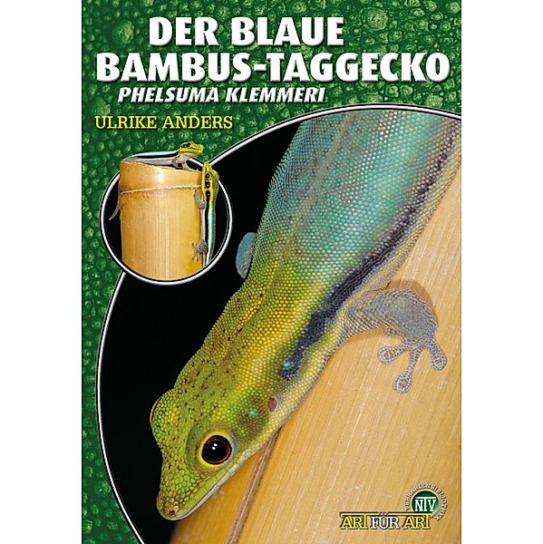 Der Blaue Bambus Taggecko / Art für Art, Ulrike Anders
