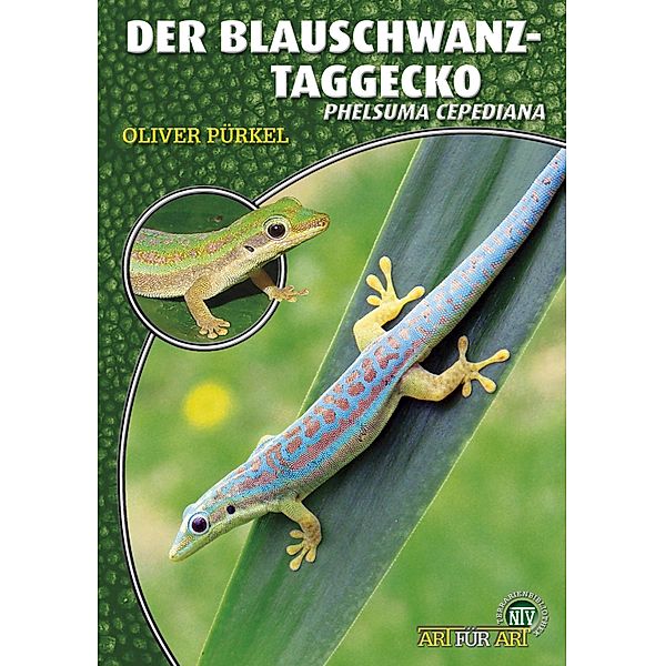Der Blauschwanz-Taggecko / Art für Art, Oliver Pürkel