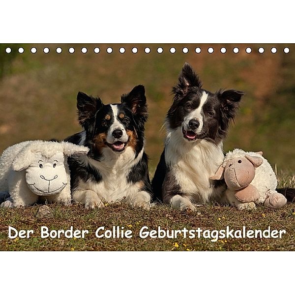 Der Border Collie Geburtstagskalender (Tischkalender immerwährend DIN A5 quer), Tina Mauersberger
