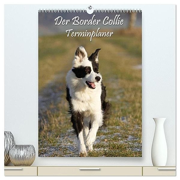 Der Border Collie Terminplaner (hochwertiger Premium Wandkalender 2024 DIN A2 hoch), Kunstdruck in Hochglanz, Antje Lindert-Rottke