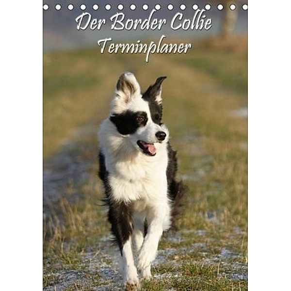 Der Border Collie Terminplaner (Tischkalender 2020 DIN A5 hoch), Antje Lindert-Rottke