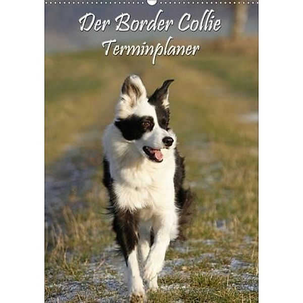 Der Border Collie Terminplaner (Wandkalender 2020 DIN A2 hoch), Antje Lindert-Rottke