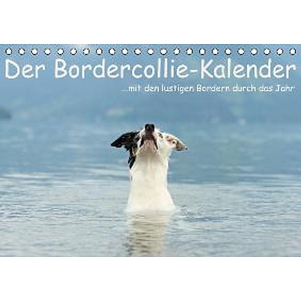 Der Bordercollie-Kalender (Tischkalender 2015 DIN A5 quer), Kathrin Köntopp