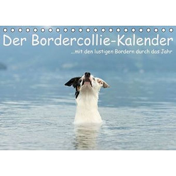 Der Bordercollie-Kalender (Tischkalender 2016 DIN A5 quer), Kathrin Köntopp