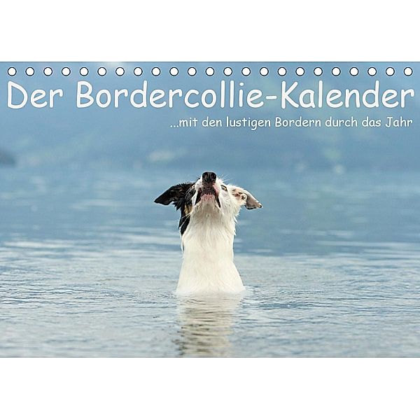 Der Bordercollie-Kalender (Tischkalender 2021 DIN A5 quer), Kathrin Köntopp