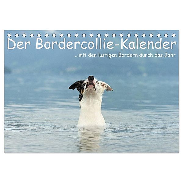 Der Bordercollie-Kalender (Tischkalender 2024 DIN A5 quer), CALVENDO Monatskalender, Kathrin Köntopp