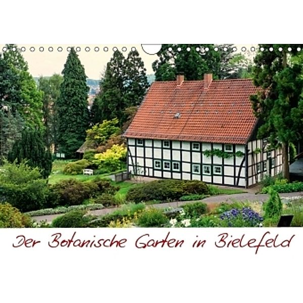 Der Botanische Garten in Bielefeld (Wandkalender 2017 DIN A4 quer), Michael Bücker