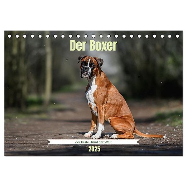 Der Boxer, der beste Hund der Welt (Tischkalender 2025 DIN A5 quer), CALVENDO Monatskalender, Calvendo, Yvonne Janetzek