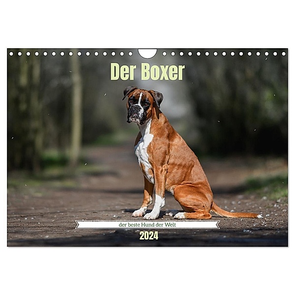 Der Boxer, der beste Hund der Welt (Wandkalender 2024 DIN A4 quer), CALVENDO Monatskalender, Yvonne Janetzek