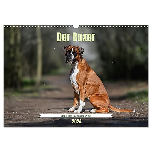 Der Boxer, der beste Hund der Welt (Wandkalender 2024 DIN A3 quer), CALVENDO Monatskalender, Yvonne Janetzek