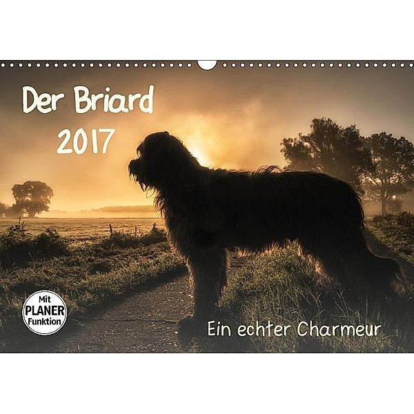 Der Briard 2018 - Ein echter Charmeur (Wandkalender 2018 DIN A3 quer), Sonja Teßen