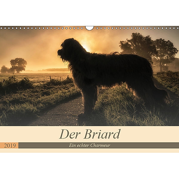 Der Briard 2019 - Ein echter Charmeur (Wandkalender 2019 DIN A3 quer), Sonja Teßen