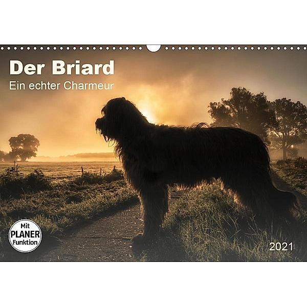 Der Briard 2021 - Ein echter Charmeur (Wandkalender 2021 DIN A3 quer), Sonja Teßen