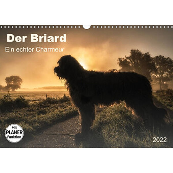 Der Briard 2022 - Ein echter Charmeur (Wandkalender 2022 DIN A3 quer), Sonja Teßen