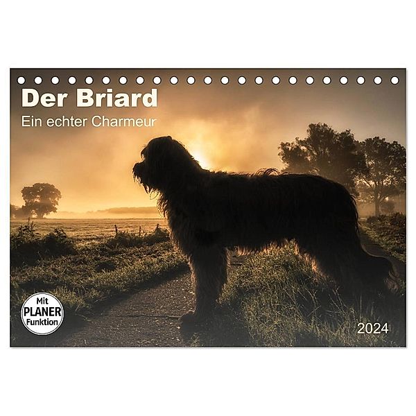 Der Briard 2024 - Ein echter Charmeur (Tischkalender 2024 DIN A5 quer), CALVENDO Monatskalender, Sonja Tessen