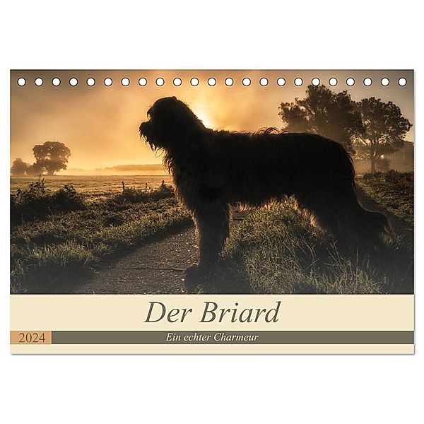 Der Briard 2024 - Ein echter Charmeur (Tischkalender 2024 DIN A5 quer), CALVENDO Monatskalender, Sonja Tessen