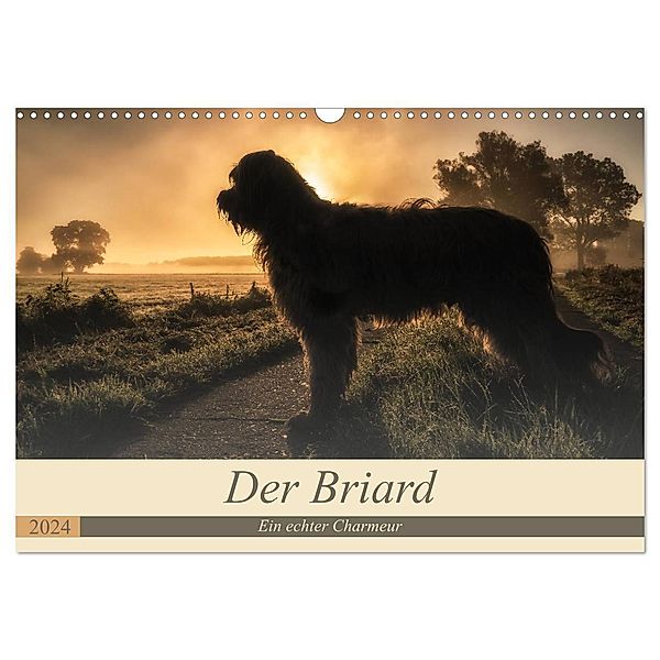 Der Briard 2024 - Ein echter Charmeur (Wandkalender 2024 DIN A3 quer), CALVENDO Monatskalender, Sonja Tessen